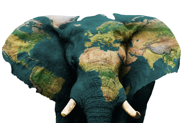 AdobeStock_484826124-removebg-preview