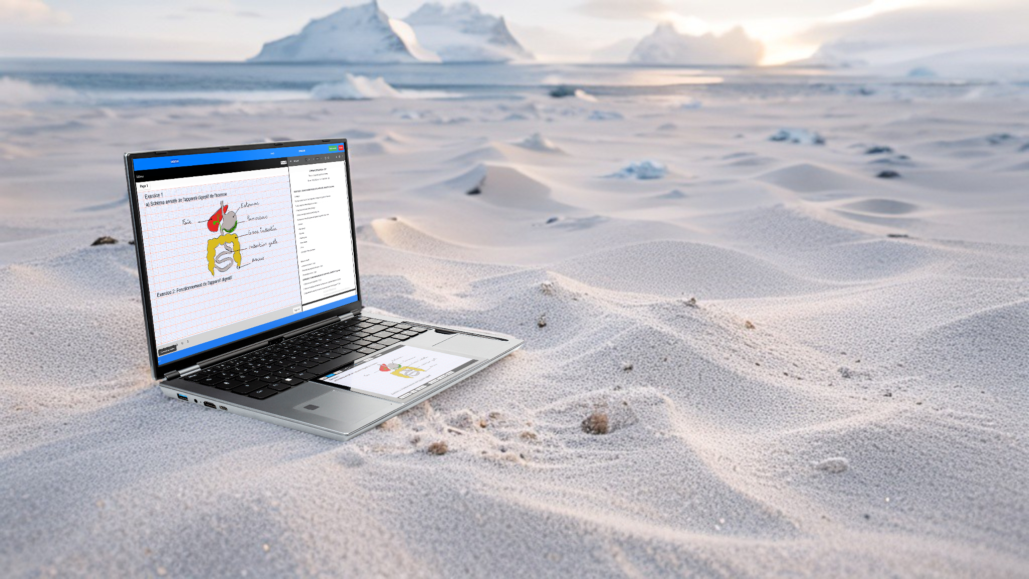 image_Pippit_202506201352-1